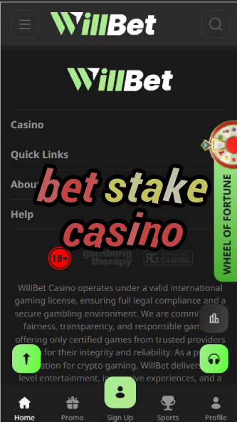 Bet Stake Casino - Crypto-Friendly Casino Platform-casinoorder.vip