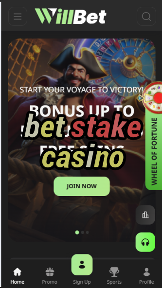 Bet Stake Casino - Crypto-Friendly Casino Platform-casinoorder.vip